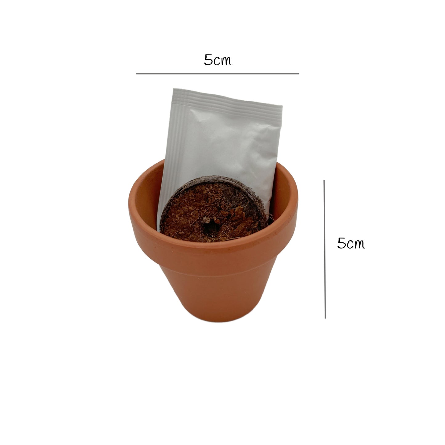 Grow your own Hanging Strawberries