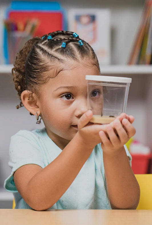 Butterfly Garden (including Prepaid voucher to redeem Caterpillars)