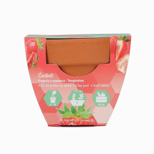 Grow your own Hanging Strawberries