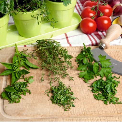 Buzzy Kitchen Herb Kit