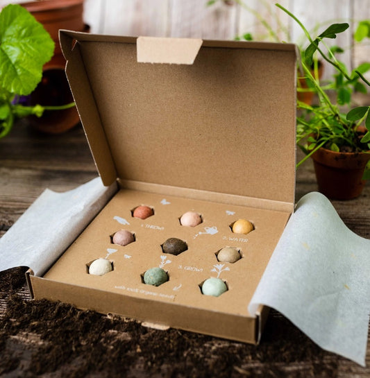 Lets Party Seedbombs (Set of 9)