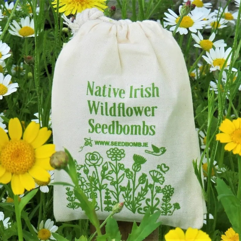 Native Irish Wildflower Seedbombs