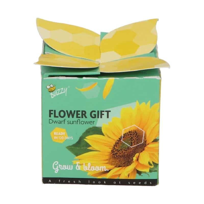 Buzzy Grow your own Sunflowers