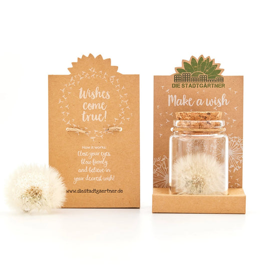 Make a Wish Dandelion