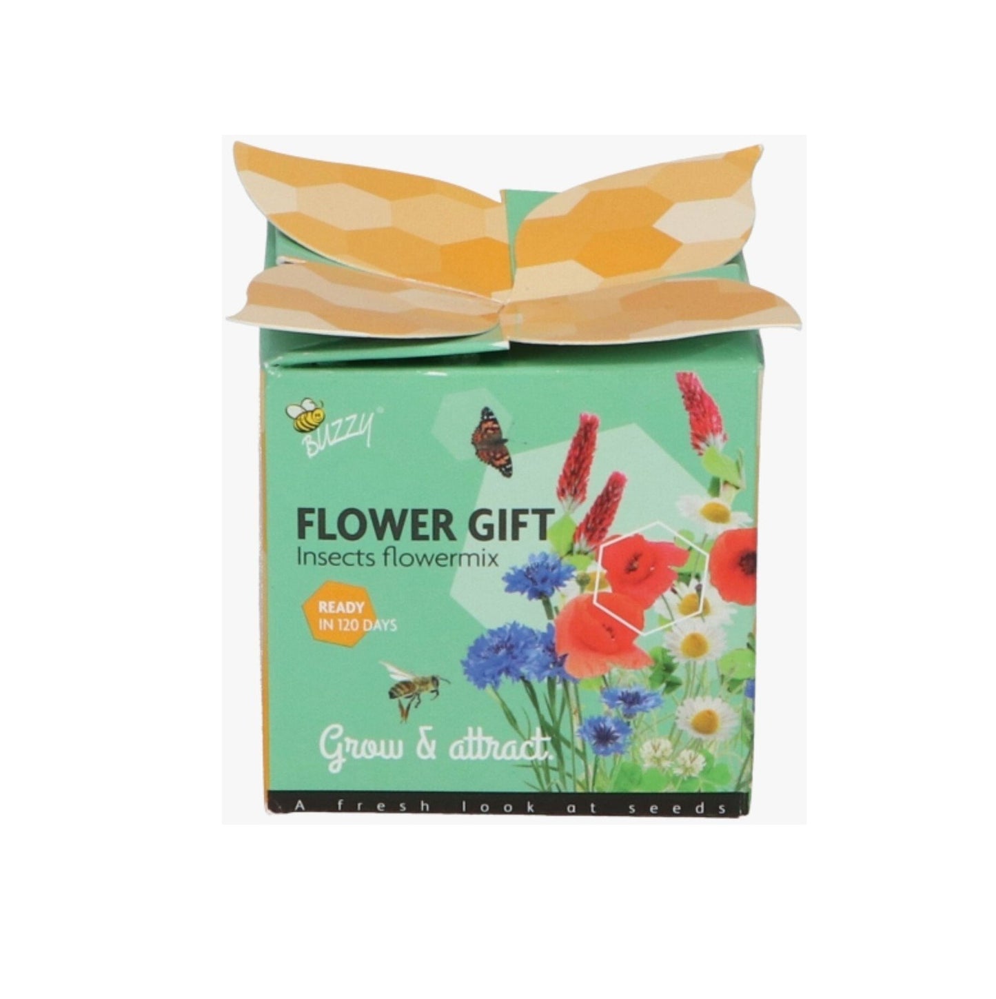 Buzzy Grow your own Wildflowers