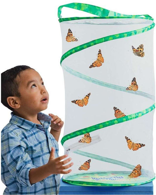 Butterfly Pavillion 1