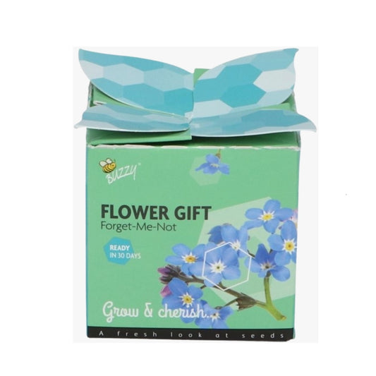 Flower Gift Forget Me Not