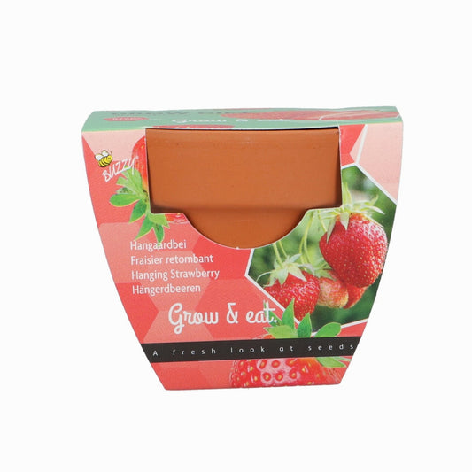 Grow your own Strawberries Kit