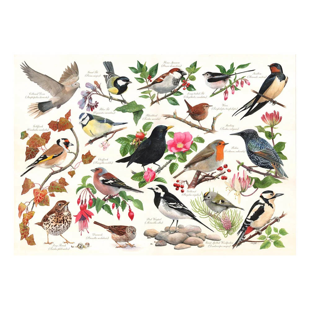 Are you in my Garden Birds 1000 Piece Puzzle