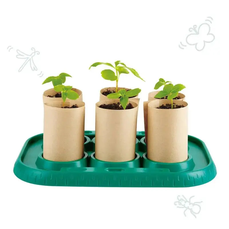 Hape Greenhouse Set