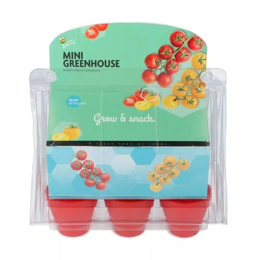 Kids Mini Greenhouse Sweet Cherry Tomatoes