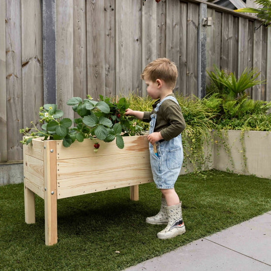 Children's Planting Raised Bed