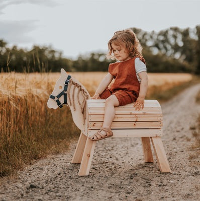 Small Wooden Pony 1